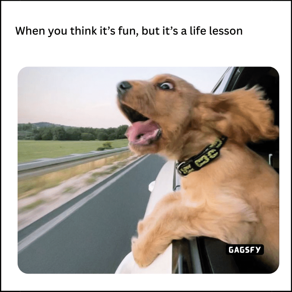 Life Lesson Meme
